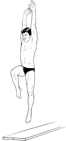 Diver On A Diving Board Coloring Page